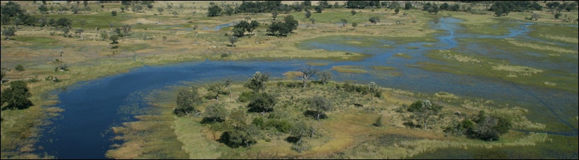 Okavango Delta