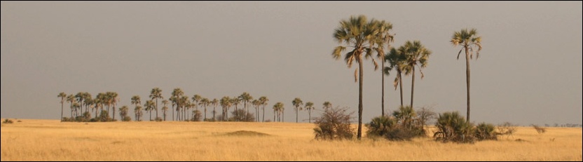Makgadikgadi Pans National Park Makgadikgadi Pans National Park
