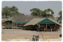 Camp Savuti