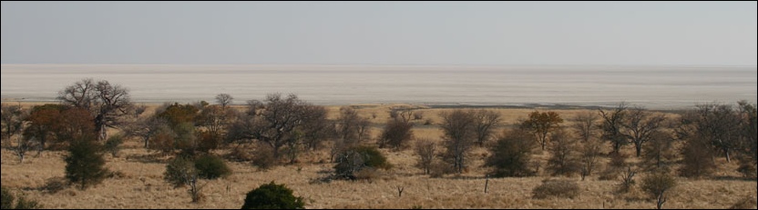 Kukonje Island - Makgadikgadi Pans