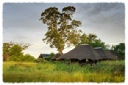 Lebala Camp