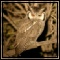 Owls