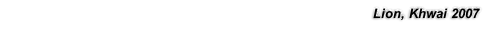 Lion, Khwai 2007
