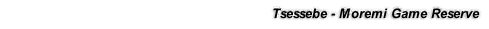 Tsessebe - Moremi Game Reserve
