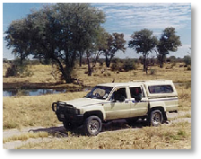 Toyota Hilux - Moremi Game Reserve