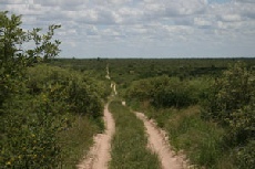 Direct road from Tau Pan to Deception Valley, Central Kalahari Game Reserve