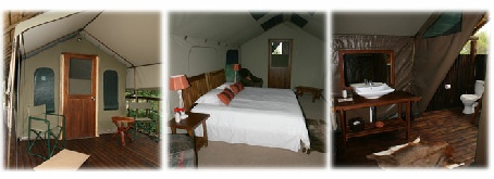 Dinaka Safari Lodge