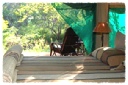 Mashatu Tented Camp