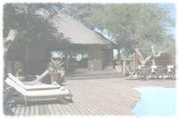 Up-market Camps