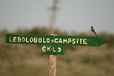 Lebolobolo Campsite, Central Kalahari Game Reserve