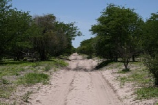 Road from Rakops to Matswere Gate