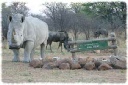 Khama Rhino Sanctuary