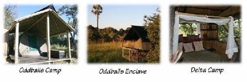 Oddballs, Oddballs Enclave & Delta Camp