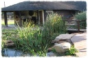 Phokoje Bush Lodge
