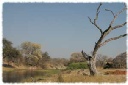 SKL Camps - Khwai Campsite