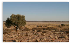 Mpayathutlwa Pan, Mabuasehube