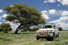 Tau Pan, Central Kalahari Game Reserve