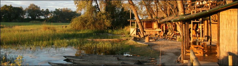Oddballs Camp