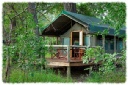 Camp Moremi