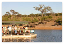 Boat Cruise, Chobe River