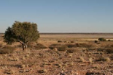 Mpayathutlwa Pan, Kgalagadi Transfrontier Park