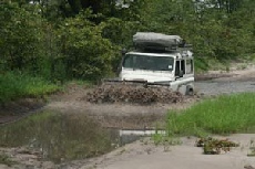 Landrover Swimming, Linyanti